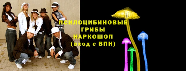 ешки Алексин