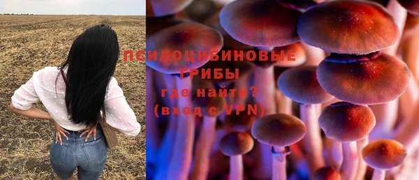 марки lsd Алексеевка
