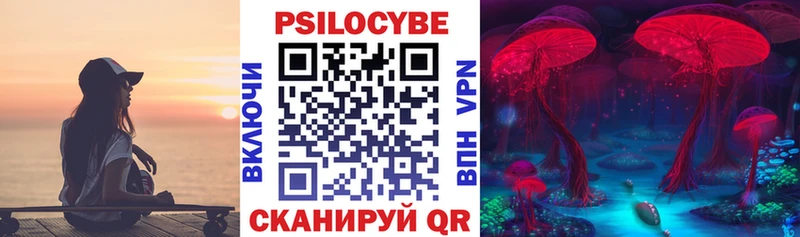 Галлюциногенные грибы Psilocybe  гидра зеркало  Дюртюли  хочу наркоту 